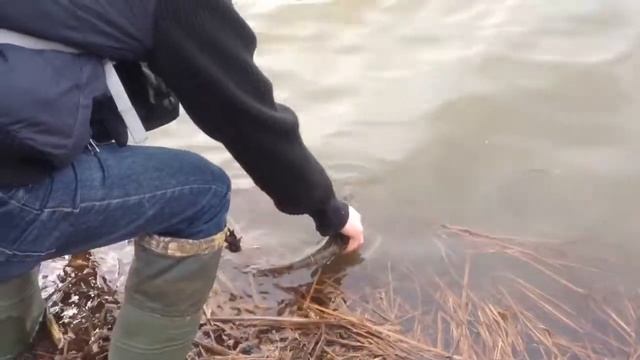 Рыбалка, обводной канал. смотреть онлайн