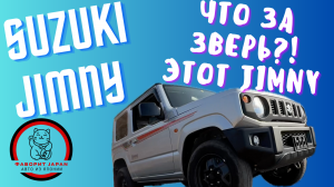 ЧТО ЗА ЗВЕРЬ? - ЭТО SUZUKI JIMNY