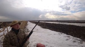 Гуси летят со всех сторон! Весенняя охота на гуся! Открытие весенней охоты