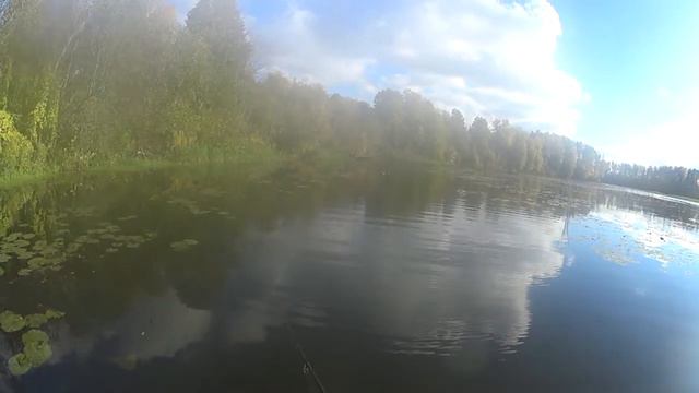 zip baits rigge 90 f в протяжку смотреть онлайн