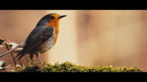 ОТПУСТИ ПРОШЛОЕ СИЛЬНЕЙШАЯ МОТИВАЦИЯ[HD]