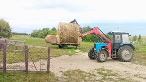 Начали завозить сено/Закупились мёдом на год вперёд