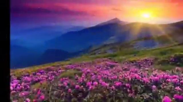 Иначе зачем я на земле живу смотреть онлайн