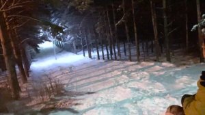 Гонки на снегокатах в лесу / Кто кого?!