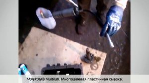Смазка подшипника первичного вала КПП - Molykote Multilub