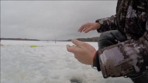 Хорошая рыбалка запоминается! Отличный клёв и крутая рыбалка на Яузском водохранилище