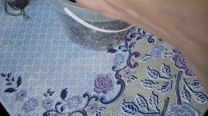 Почему не растут детки? Что делать? Мой опыт. Фиалки у Алисы.