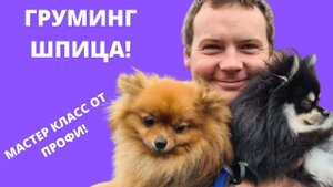 Что такое груминг собак? Едем на груминг