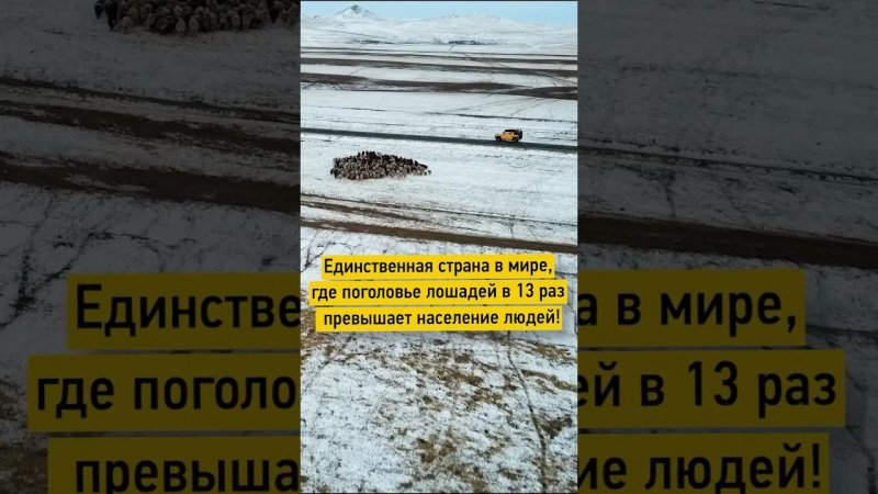 Единственная страна в мире, где поголовье лошадей в 13 раз превышает население людей! #Монголия