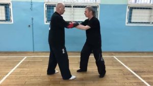 Ицюань Туйшоу / Yiquan Push Hands / Методика тренировки / Туйшоу Шили / Удары в Туйшоу (28.04.21)