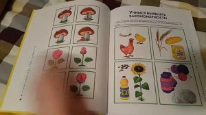 Развитие логики малыша от 3 до 7 лет