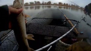 Проверка лодочного электромотора после ремонта и немного рыбалки