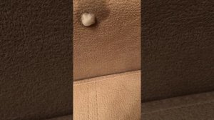 Чем очистить чернила на диване