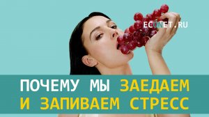 Почему мы заедаем и запиваем стресс