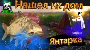 RF4 КАК ЖЕ ТУТ КЛЮЕТ ТОЛЬКО УСПЕВАЙ ВЫТЯГИВАТЬ #рр4