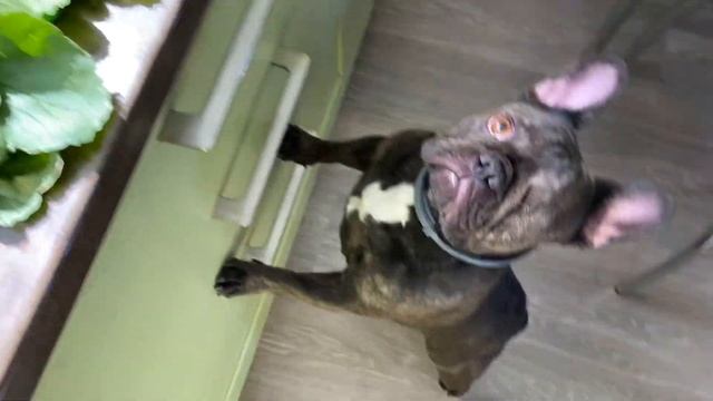 собираю для МАМОЧКИ ГИГАНТСКИЕ гостинцы с МАСЕЙ смотреть онлайн