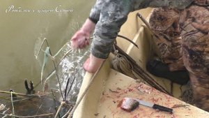 Рыбалка. Уха из свежего сазана.