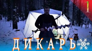 Дикарь. Один в лесу в -20. Не поймаю - не поем. Из еды только соль. Часть 1 ЗИМА