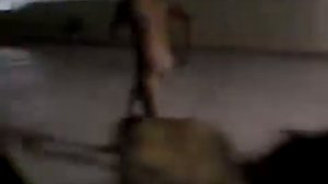 Фейл дня Мужик хотел пробежать голышом по полю, но... НО   360