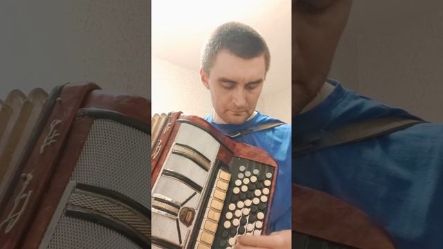 Леприконсы - Девчонки полюбили не меня (cover на баяне) смотреть онлайн