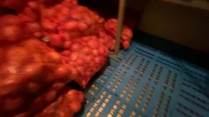 ПОВАР НА СУДНЕ. ЧЕЛОВЕК, КОТОРЫЙ СОЗДАЁТ НАСТРОЕНИЕ.