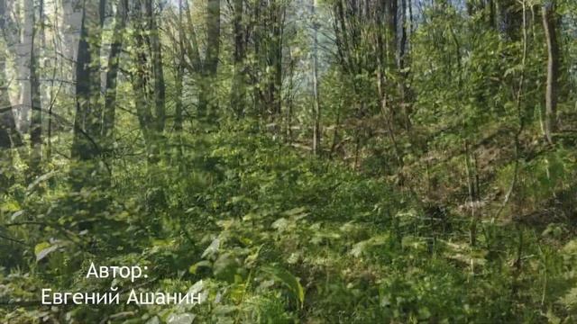 Наедине с природой смотреть онлайн