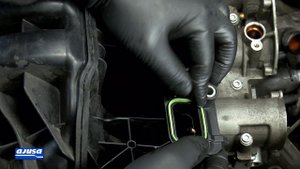 VOLKSWAGEN GOLF 1.6 FSI 16V (BLF) _ Colector de admisión Ajusa – Intake manifold gasket