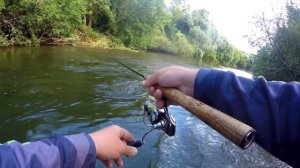 Голавль Летом | По малой реке | Денис Вихров