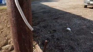 Забор на арматуре