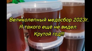 Великолепный сезон! Год на год не приходится!