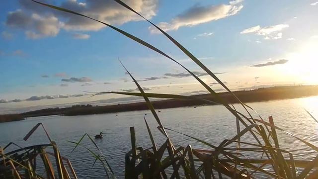 Осенняя охота с подсадными утками 2015 г ! смотреть онлайн