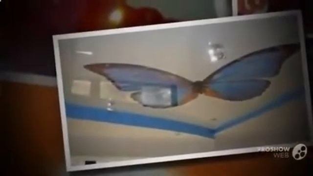 Натяжной_потолок_двухцветный.