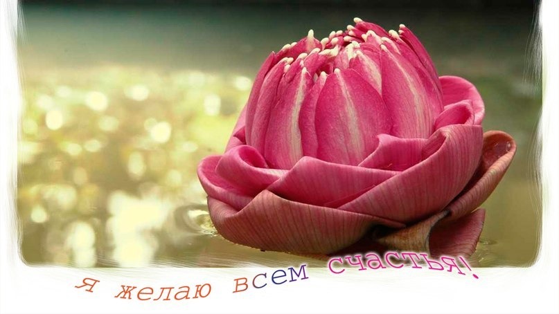 Молитва за мир во всем мире! Live: Сеанс пожелания счастья. Онлайн-ретрит «Благость» 18.06.2023