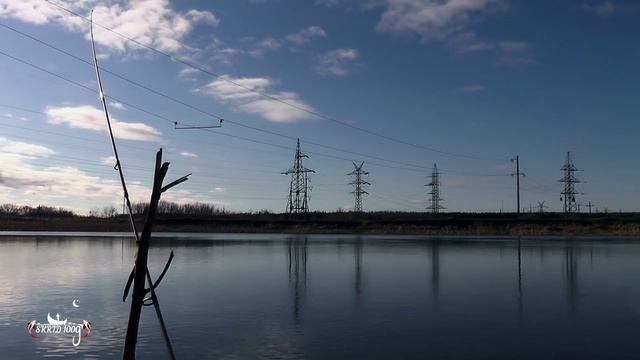 Ловля Карася на донную оснастку смотреть онлайн