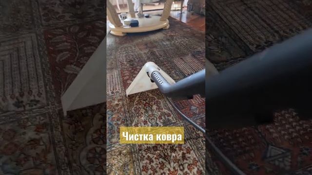 чистка ковра на дому