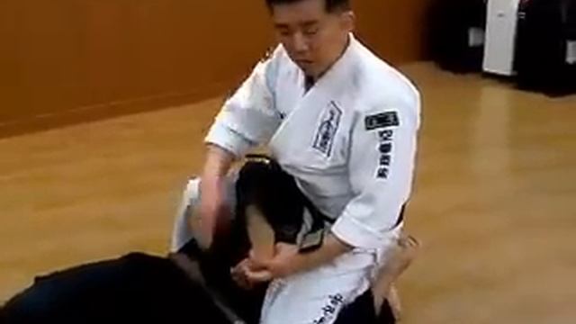 25surprise standing Arm Lock Korea jiu jitsu Hapkido