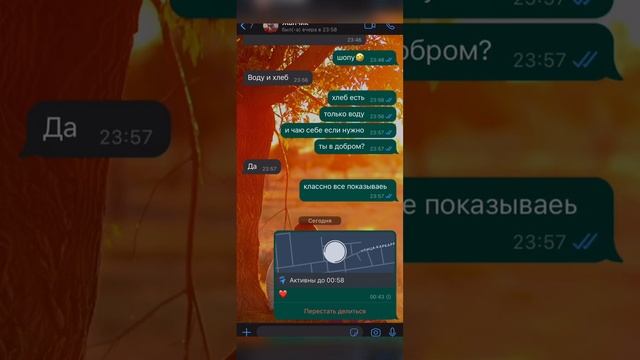 Я вам покажу, как отследить местоположение по WhatsApp. Как узнать местоположение?))