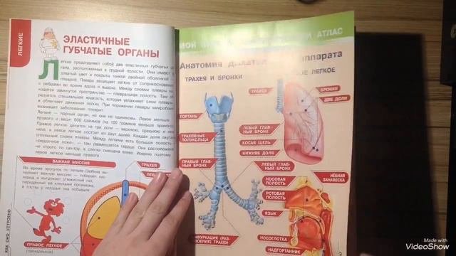 Как устроено тело человека 3 выпуск|Легкие|Журнал|Обзор|Deagostini|Валерия Арт