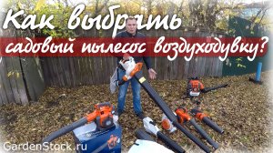 Как выбрать садовый пылесос воздуходувку??? Что за зверь? Воздуходув? Шишки, иголки, листва в саду?