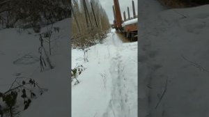 Архангельская Область Плесецкий район поселок Икса