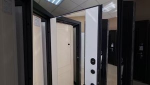 Входная дверь Флорида (Феррони)