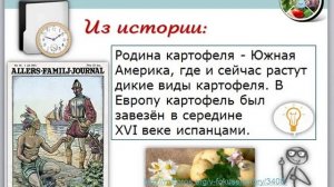 Урок по теме Семейство пасленовые (биология 6 класс)