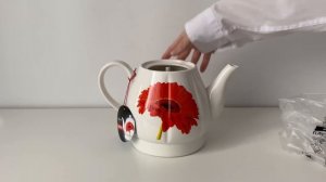 Чайник CENTEK CT-0062