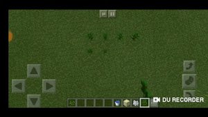 Как вырастить тропическое дерево в игре майнкрафт