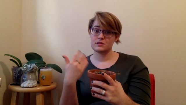 Ceropegia Woodii (String of Hearts)- Care tips and Propagating from Seed! смотреть онлайн