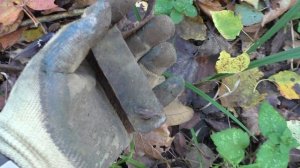 КОМПАС и не только