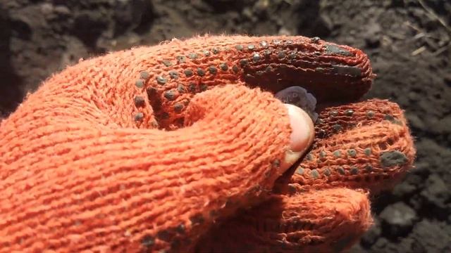 Выехал на коп с новым металлоискателем RUTUS Ultima (Рутус Ультима)