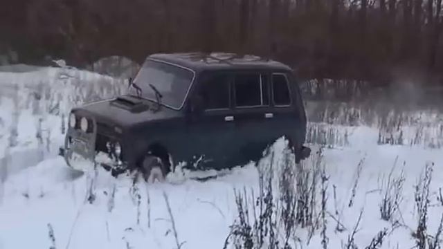 Нивы по снегу