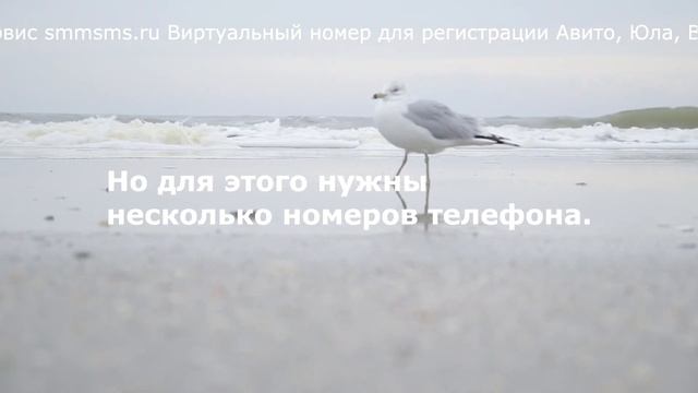 Сервис smmsms.ru Виртуальный номер для регистрации Авито, Юла, Вк и