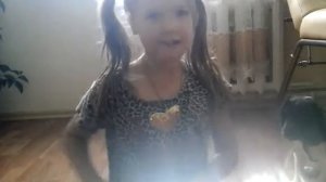 Короткое видио как одеть шлейку и поводок??